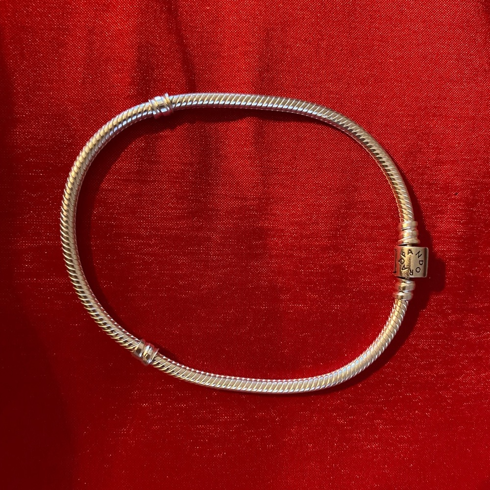 Pandora Bracelet